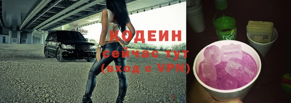 соль ск Арсеньев