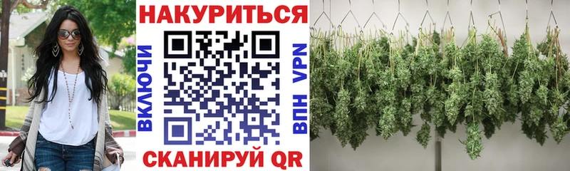 Бошки марихуана конопля  Туринск 
